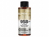 Blonde Life Demi Gloss Toner 9SB