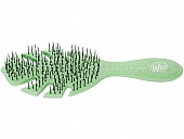 Wetbrush Go Green Green